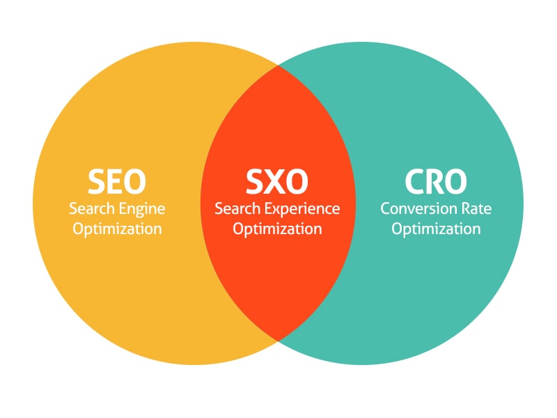 Search Experience Optimization